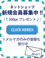 ������Ͽ300point�ץ쥼���